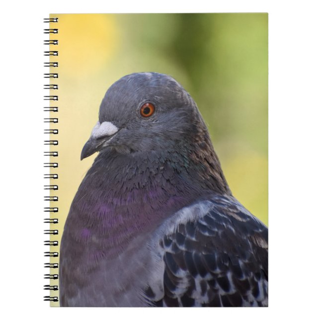 Carnet Portrait D'Un Pigeon (Devant)
