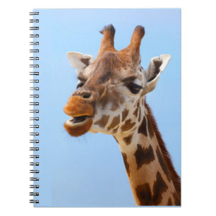 Carnet Portrait Giraffe