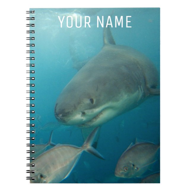 Carnet Portrait sous-marin de grand requin blanc sur mesu (Devant)