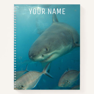 Carnet Portrait sous-marin de Grand requin blanc sur mesu