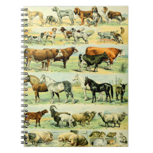 Carnet Poster de animal agricole Vintage