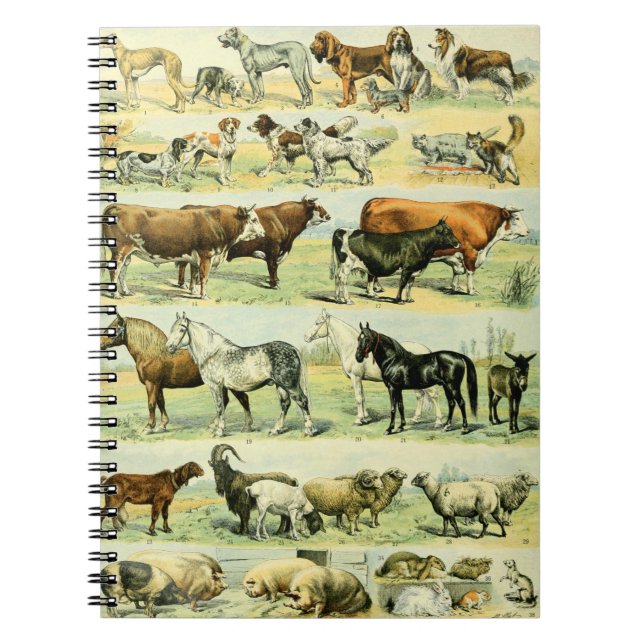 Carnet Poster de animal vintage (Devant)