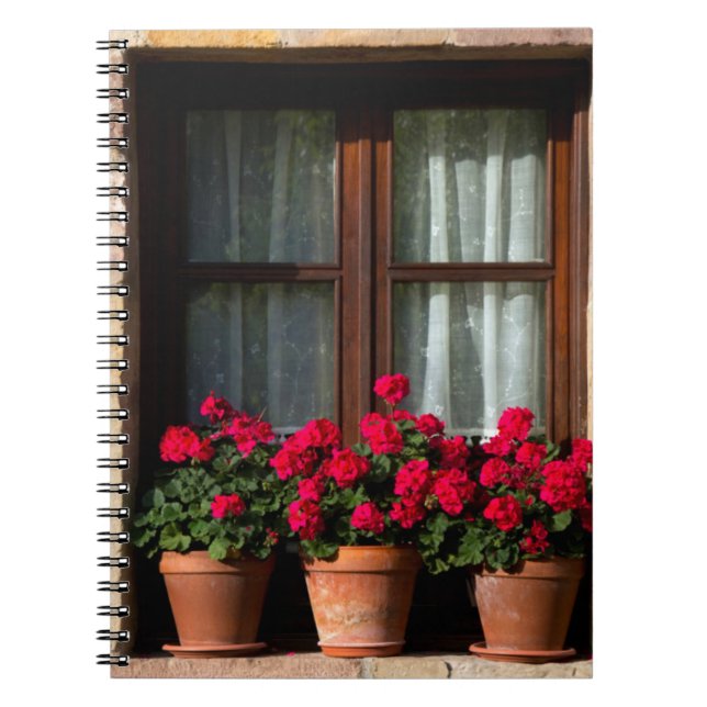 Carnet Pots de fleurs de fenêtres dans le village (Devant)