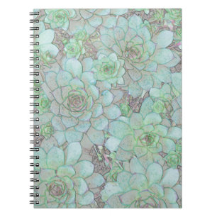 Carnet Poules et pousses