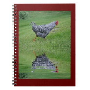 Carnet Poulet