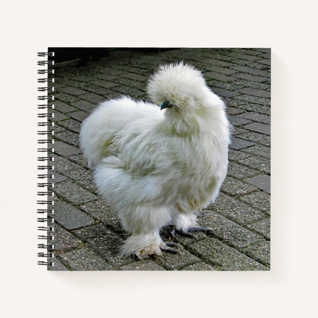 Carnet Poulet blanc Silkie Photo (Devant)