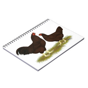 Carnet Poulets de Buckeye
