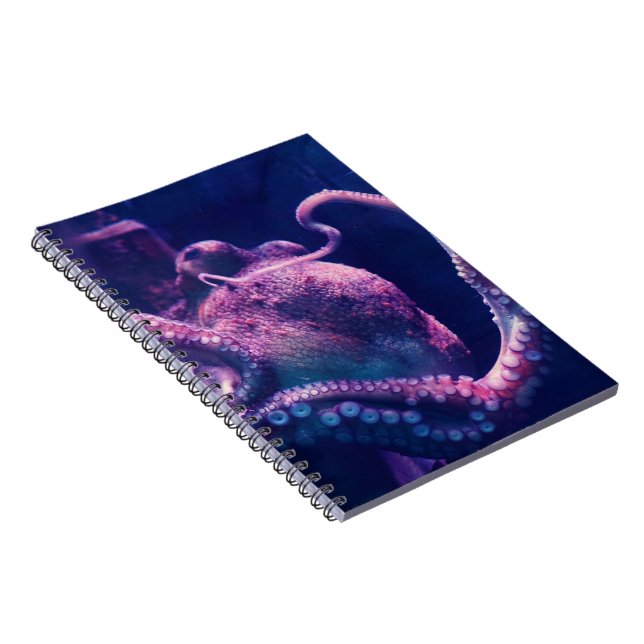 Carnet Poulpe (Côté Droit)