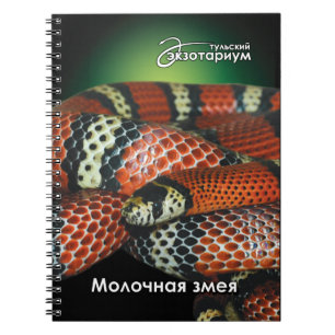 Carnet Pour le serpent de lait d'amants de reptile