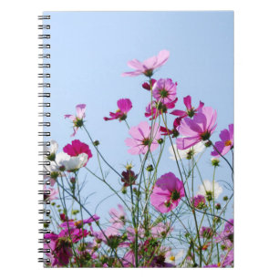 Carnet Pré rose