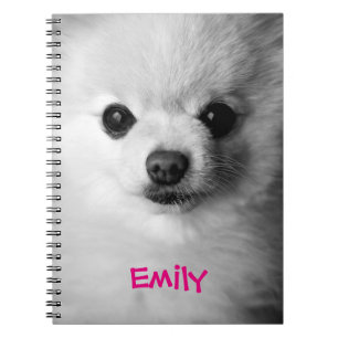 Carnet précieux de Pomeranian