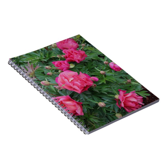 Carnet Pretty Pink Peony Bush (Côté Droit)