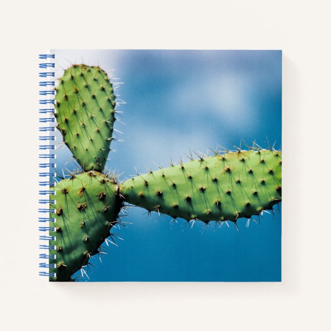 Carnet Prickley Cactus (Devant)
