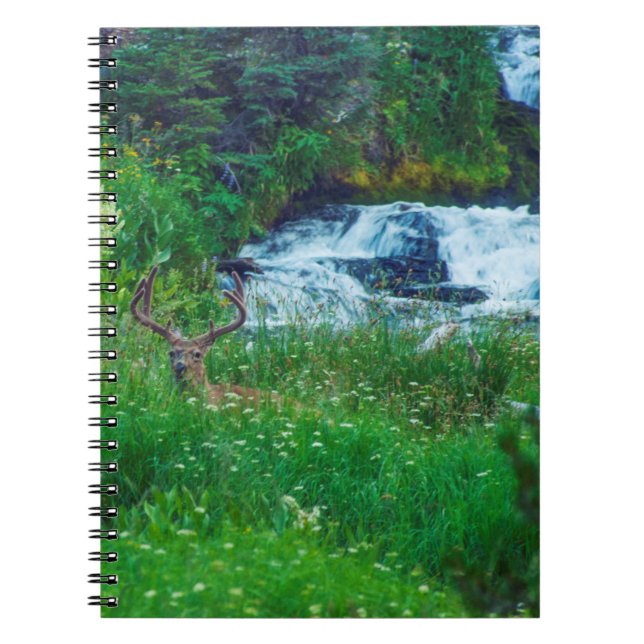 Carnet Prince de la Forêt (Devant)
