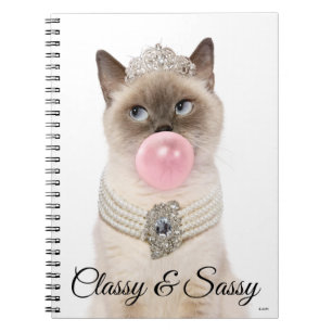 Carnet Princesse Chat soufflant de bulle gomme