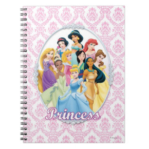 Carnet Princesse Disney   Cinderella Feature Centre