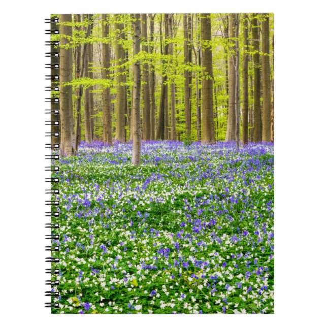 Carnet Printemps dans la forêt bleue (Devant)