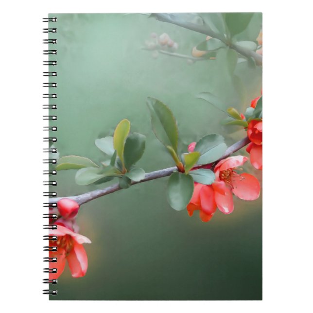Carnet Printemps des fleurs de fleurs de cocotte (Devant)