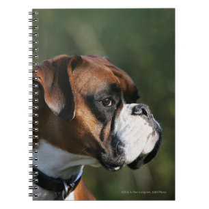 Carnet Profil de côté de chien de boxeur