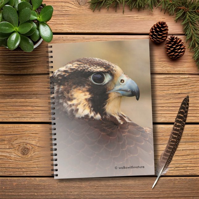 Carnet Profil d'un faucon pèlerin (Vignetted Profile of a Peregrine Falcon Journal Cover Photo)