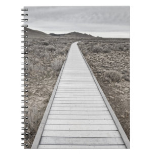 Carnet Promenade par le désert