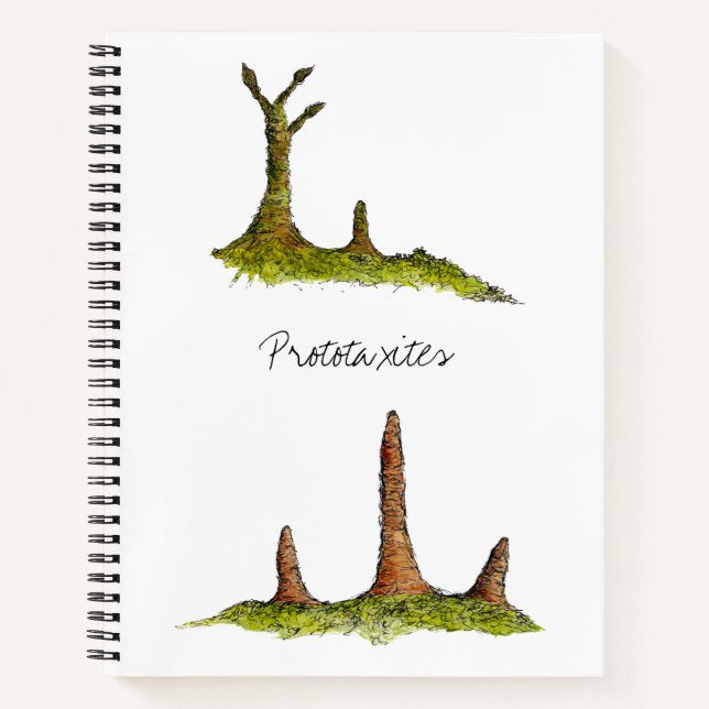 Carnet Prototaxites Ordinateur portable Spiral (Devant)