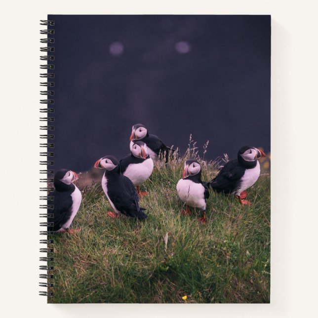 Carnet Puffins de l'Atlantique (Devant)