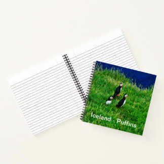Carnet Puffins islandais