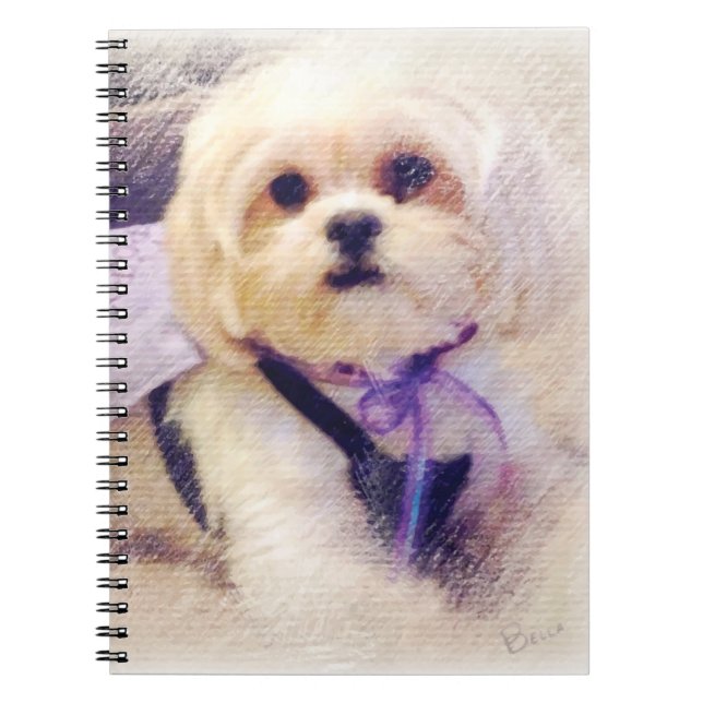 Carnet Puissance de chiot de Bella (Devant)