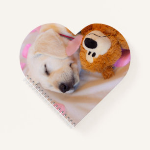 Carnet Puppy cuddles 02