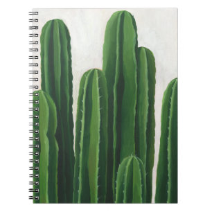 Carnet Pura Vida - groupe de cactus