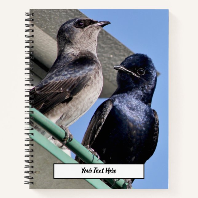 Carnet Purple Martin (Devant)