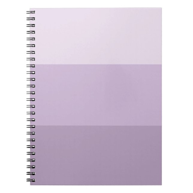 Carnet Purple Ombre rayé (Devant)