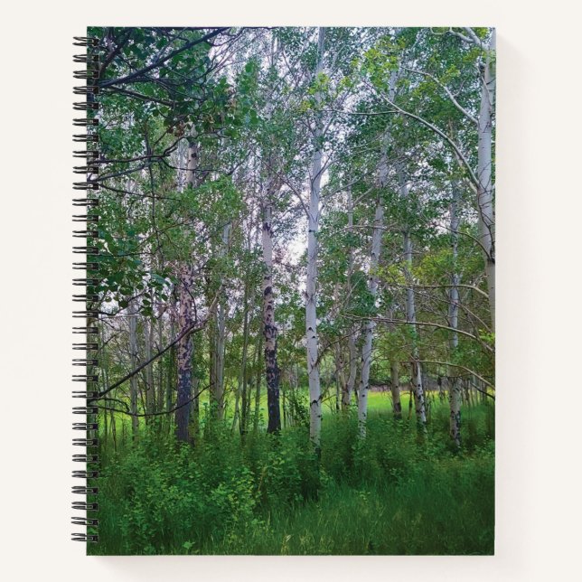 Carnet Quakies Spiral Notebook (Devant)