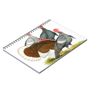 Carnet Quartet de Turquie rare