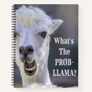 Carnet Qu'est-ce que le Prob-Llama ? Jote Drôle LLAMA