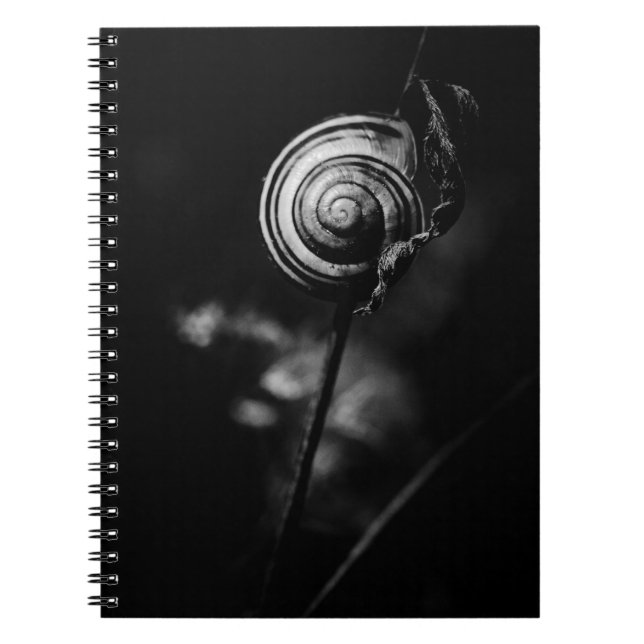Carnet queue de l'escargot (Devant)