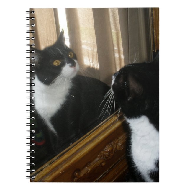 Carnet Qui est ce type beau ? (Devant)