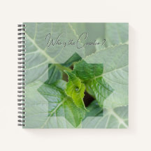 Carnet "Qui est le Créateur?"