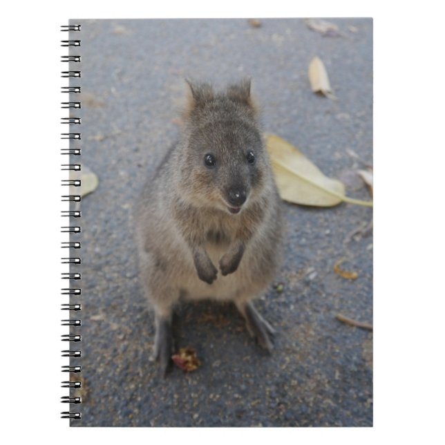 Carnet Quokka (Devant)