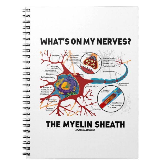 Carnet Qu'y a-t-il sur mes nerfs ? Le Myelin Sheath (Devant)