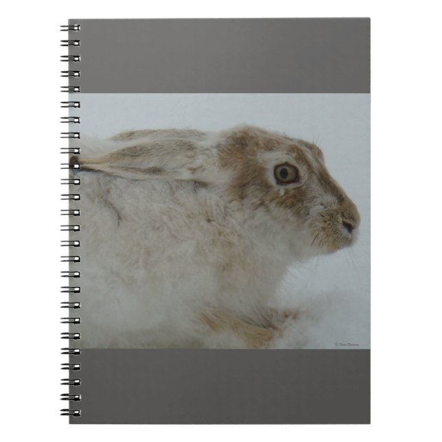Carnet R11 Snowshoe Hare Head Shot (Devant)