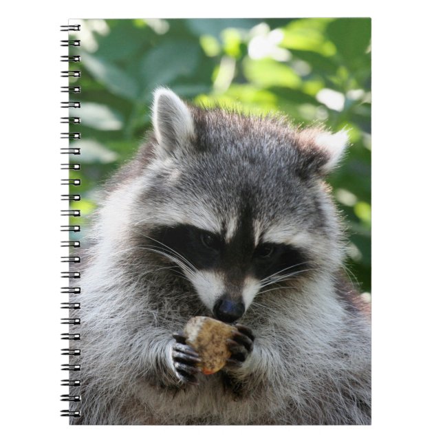 Carnet Raccoon 004 (Devant)
