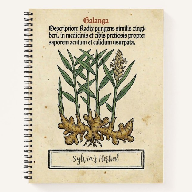Carnet Racine de Galanga : La Recette Médiévale de l'Apot (Devant)