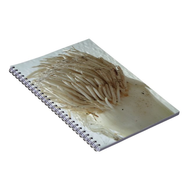 Carnet Racine de poireau, légumes, aliments blancs crus s (Côté Droit)