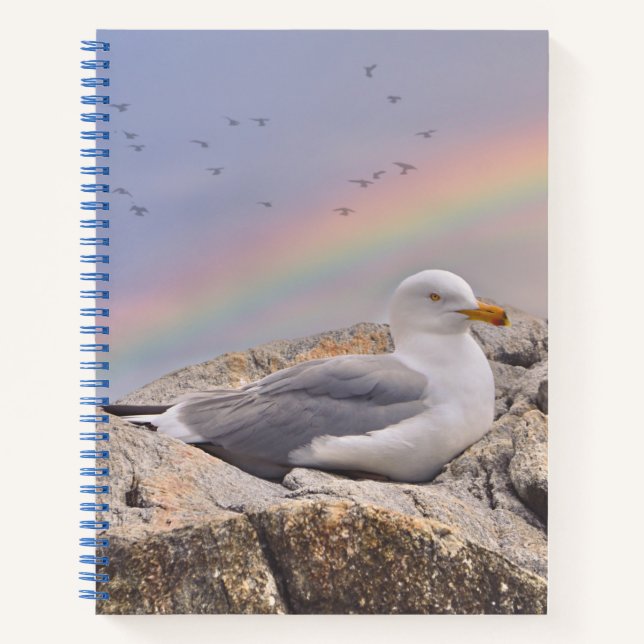 Carnet Rainbow Seagull (Devant)