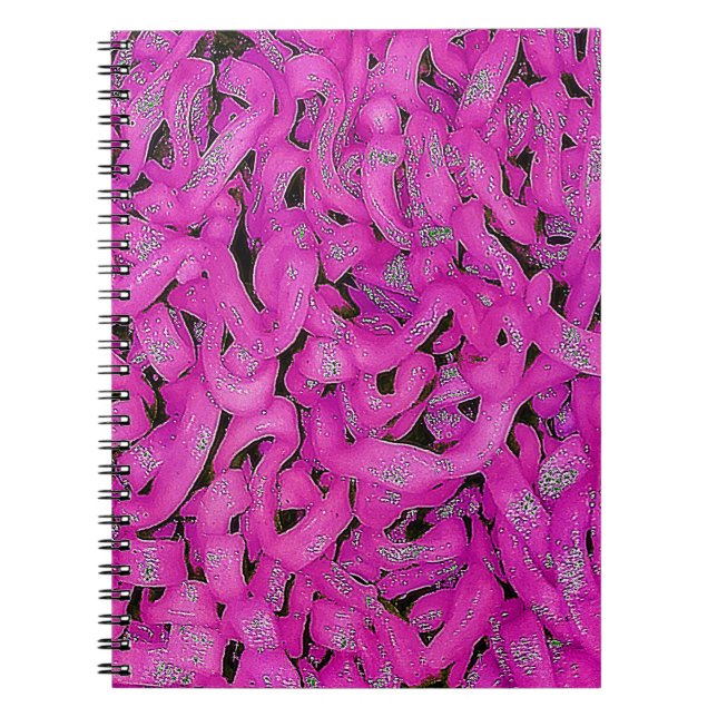 Carnet Ramen rose (Devant)