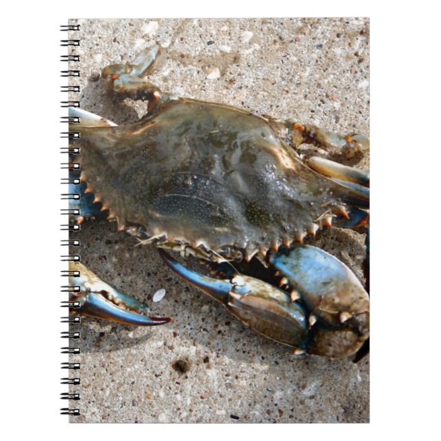 Carnet Rampement de crabe bleu (Devant)