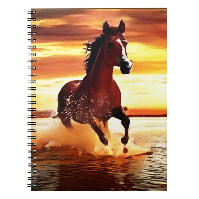 Carnet Randonnée À Cheval Sauvage À Travers Le Surf (Devant)
