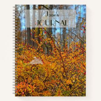 Carnet Randonnée dans une forêt d'automne vibrante - Feui
